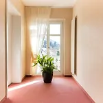 Schoenbuehl & Restaurant Thun Oberhofen