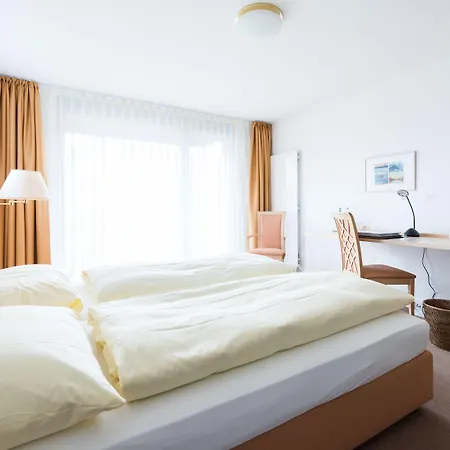 Schoenbuehl & Restaurant Thun 酒店 3*