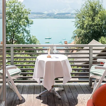 Schoenbuehl & Restaurant Thun 酒店 3*