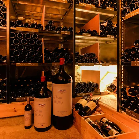 Schoenbuehl & Restaurant Thun 酒店 3*