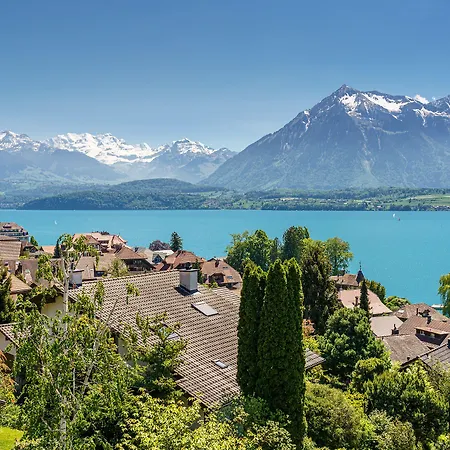 Schoenbuehl & Restaurant Thun 3* 欧伯奥芬