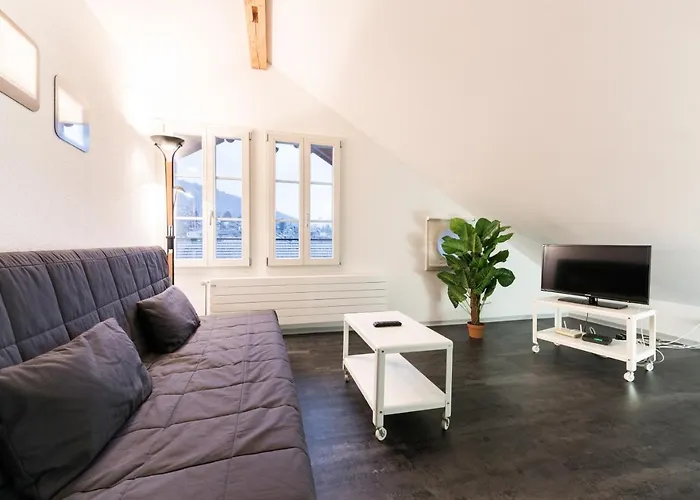 Hotel Schoenbuehl & Restaurant Thun 3*