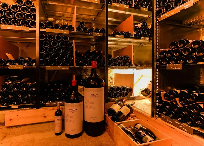 Schoenbuehl & Restaurant Thun فندق 3*