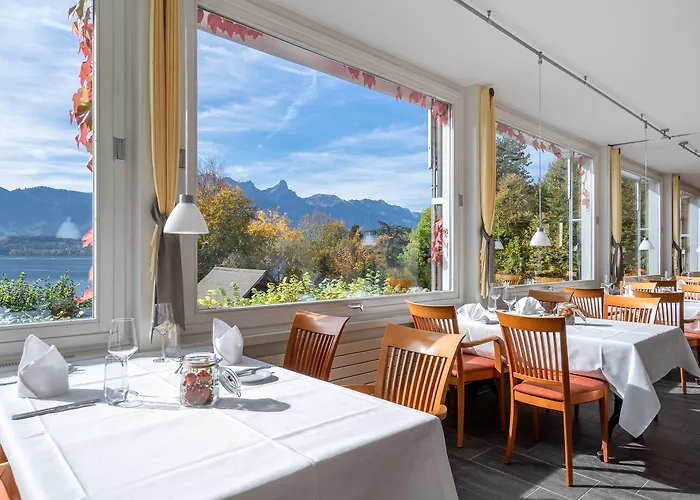 فندق Schoenbuehl & Restaurant Thun 3*