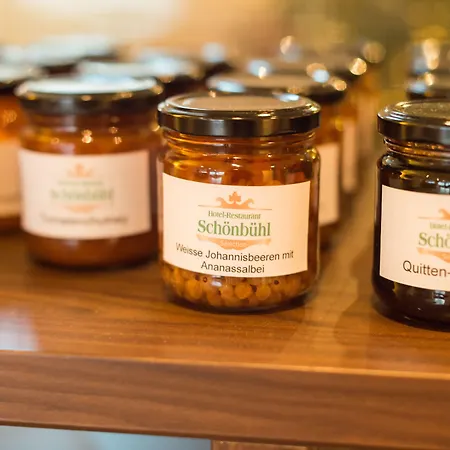 Schoenbuehl & Restaurant Thun Oberhofen