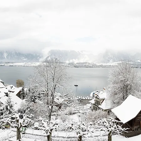 Schoenbuehl & Restaurant Thun Hotell