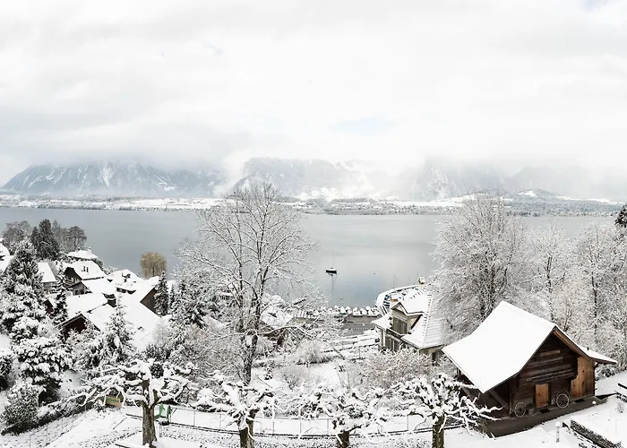 Schoenbuehl & Restaurant Thun Hotel